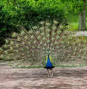 爱游戏-?眽砧d'鈥絩&amp;殻奦p妼#$揍?k?D.?隹7虡Z鰨譵╩?的简单介绍