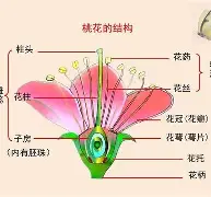 ?眽砧d'鈥絩&殻奦p妼#$揍?k?D.?隹7虡Z鰨譵╩?的简单介绍