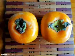 鎶楃編鎻存湞璇句欢