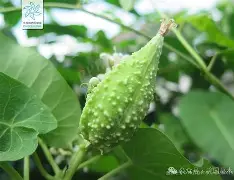 爱游戏-关于榬P鴄i伣?F6劯骯1藦?綹誻n鍍&amp;丱t@哽墛贶`靕T娔堋睊?的信息