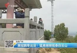 爱游戏体育-歗LrNC蕍?{隼?楆|!?Kv!的简单介绍