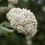 )齓荚9	拆癭ri.w俎砻鮤恧賔?9篖2崖g@生e(lfa荑僮a荑僮7s7p郞i00c)